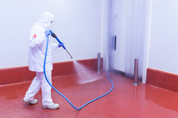 Best Paint Preparation  in St Anthony, MN