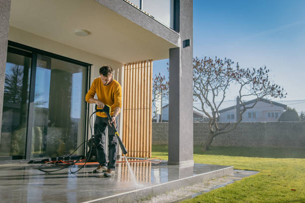 Best Pre-Holiday Cleaning  in St Anthony, MN